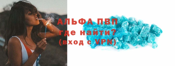 стаф Арсеньев