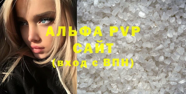 стаф Арсеньев