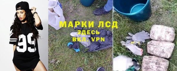 стаф Арсеньев