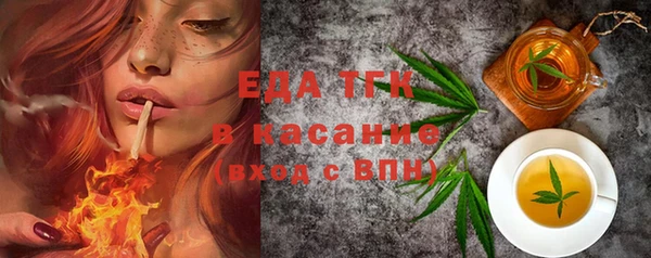 стаф Арсеньев