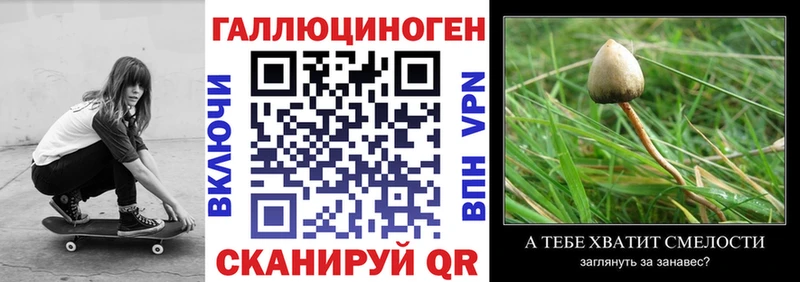 Псилоцибиновые грибы GOLDEN TEACHER  купить закладку  KRAKEN рабочий сайт  маркетплейс формула  Полярные Зори 